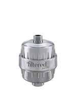 Filtered Beauty Shower Purifier Silver